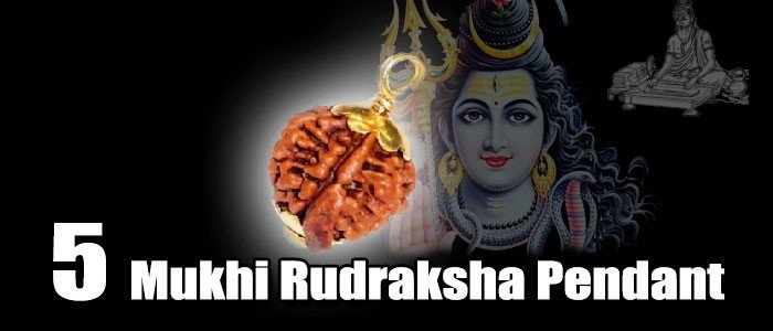 Five mukhi rudraksha pendent