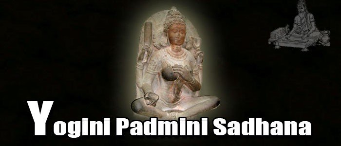 Yogini Padmini Sadhana
