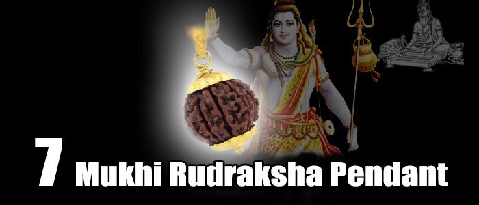 Seven mukhi rudraksha pendant