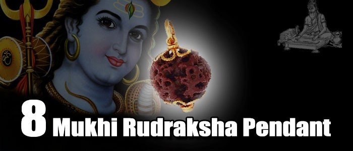 Eight mukhi rudraksha pendant