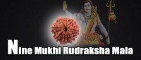 Nine mukhi rudraksha mala