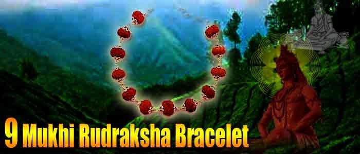 9 mukhi rudraksha bracelet