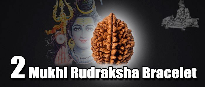 Two mukhi rudraksha bracelet