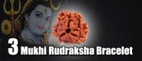 Three mukhi rudraksha bracelet