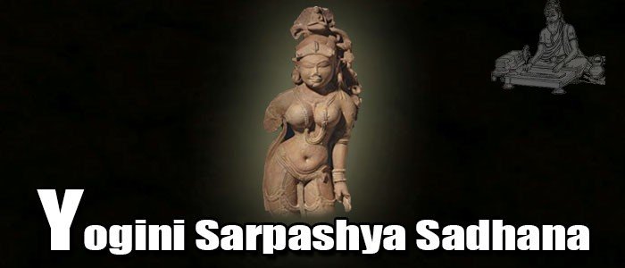 Yogini Sarpashya Sadhana Yogini Sarpashya Sadhana