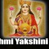Lakshmi yakshini yantra