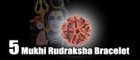Five mukhi rudraksha bracelet