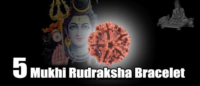 Five mukhi rudraksha bracelet