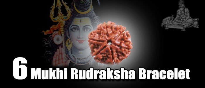 Six mukhi rudraksha bracelet