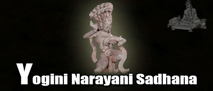 Yogini Narayani Sadhana Yogini Narayani Sadhana