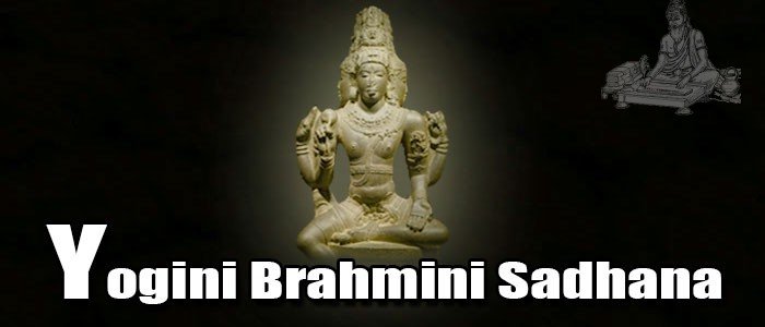 Yogini Brahmini Sadhana Yogini Brahmini Sadhana