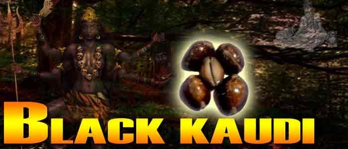 Black kaudi