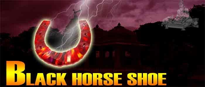 Black horse shoe