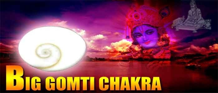 Big gomti chakra