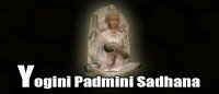 Yogini Padmini Sadhana