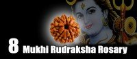 Eight mukhi rudraksha rosary