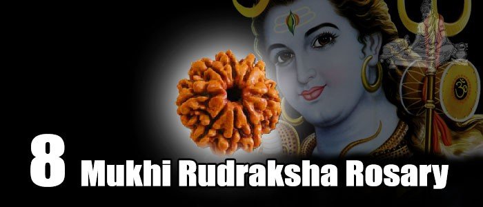 Eight mukhi rudraksha rosary