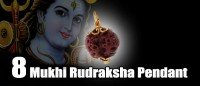 Eight mukhi rudraksha pendant