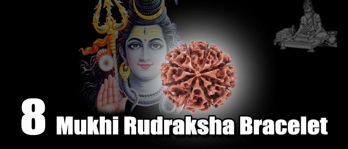 Eight mukhi rudraksha bracelet