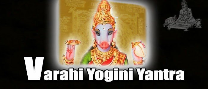 Varahi yogini yantra Varahi yogini yantra