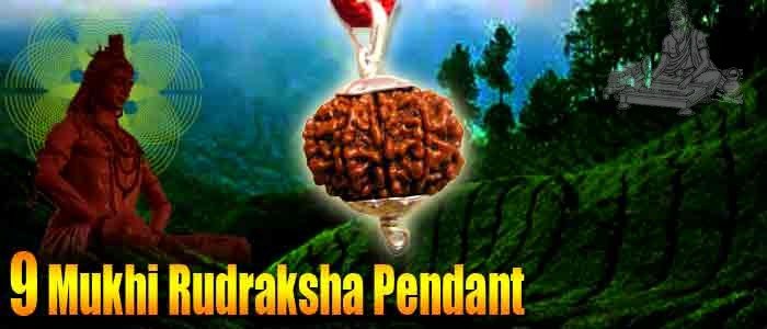 9 mukhi rudraksha pendant