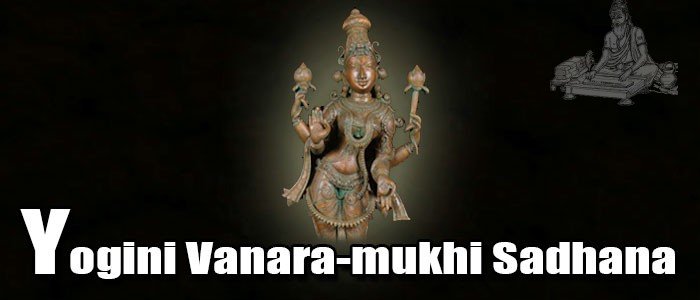 Yogini Vanara-Mukhi Sadhana