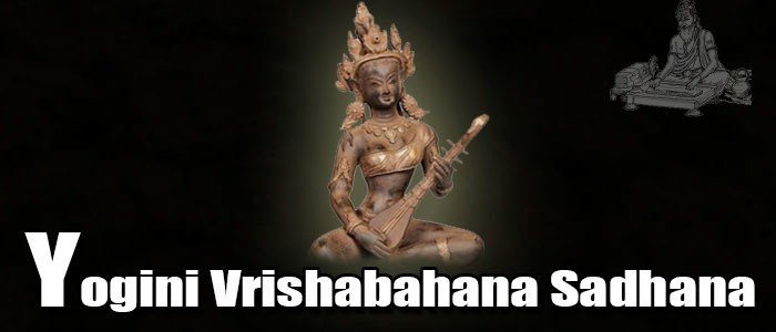 Yogini Vrishabahana Sadhana