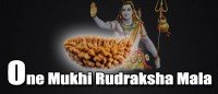 One mukhi rudraksha mala