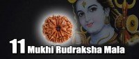 11 mukhi rudraksha mala