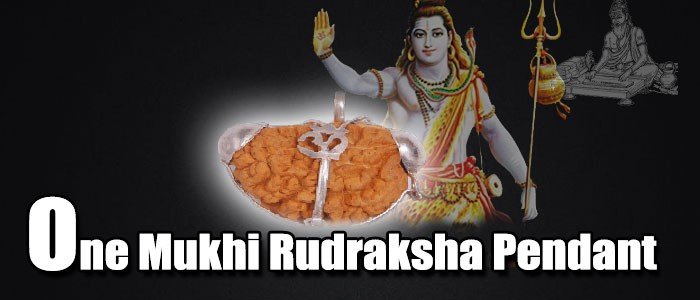 One mukhi rudraksha pendent