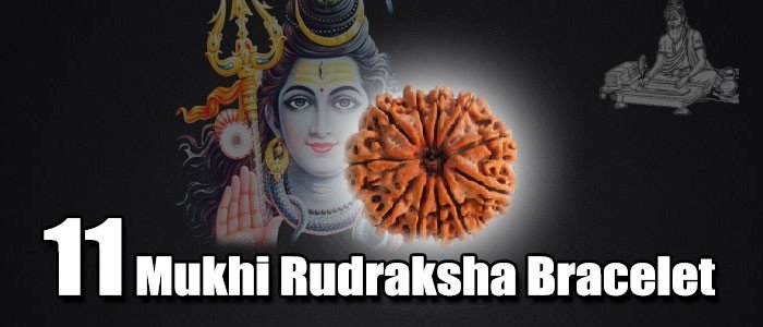 11 mukhi rudraksha bracelet