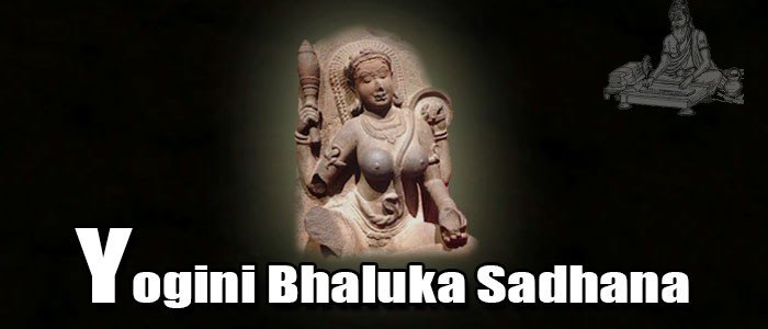 Yogini Bhaluka Sadhana Yogini Bhaluka Sadhana